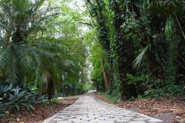 Prefeitura promove trilha educativa no Horto Florestal