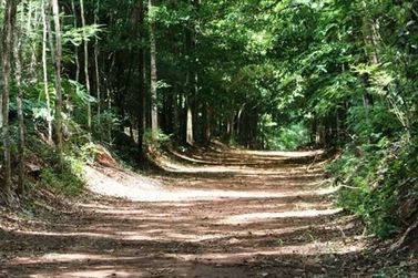 Horto Florestal recebe circuito com trilhas, circo e troca de figurinhas