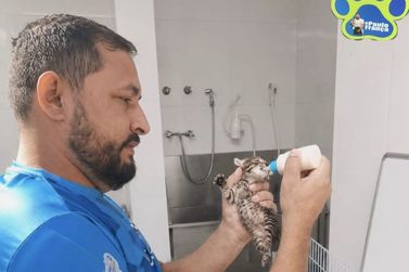 Paulo Fran&ccedil;a refor&ccedil;a trabalho de cuidado e acolhimento aos animais em Mogi Mirim