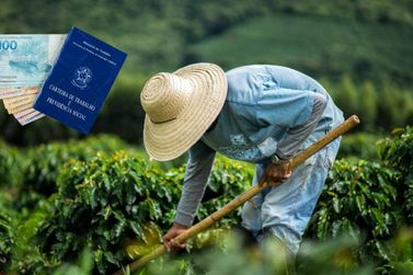 Ind&uacute;stria perde for&ccedil;a e agro lidera gera&ccedil;&atilde;o de empregos em Mogi Mirim em 2026