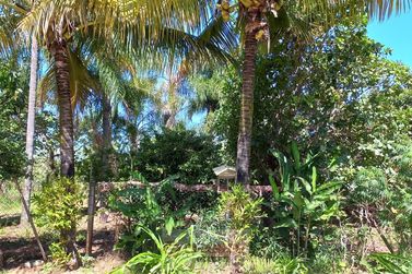 S&iacute;tio &agrave; venda - 150m&sup2; - Centro