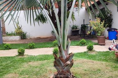 Casa &agrave; venda - 151m&sup2; - Centro