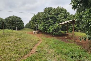 S&iacute;tio &agrave; venda - 10m&sup2; - Centro
