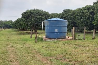 S&iacute;tio &agrave; venda - 10m&sup2; - Centro