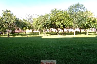 Apartamento &agrave; venda - 47m&sup2; - Centro