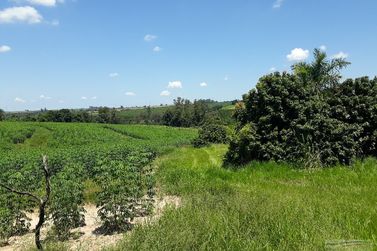 S&iacute;tio &agrave; venda - 10m&sup2; - Centro