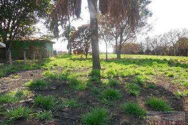 Terreno &agrave; venda - 10m&sup2; - Centro