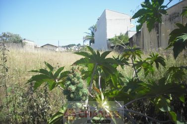 Terreno &agrave; venda - 10m&sup2; - Centro