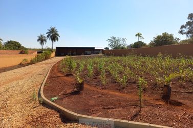 S&iacute;tio &agrave; venda - 10m&sup2; - Centro