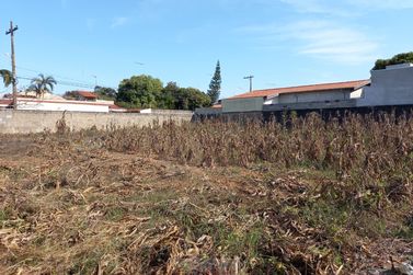 Terreno para alugar - 10m&sup2; - Centro