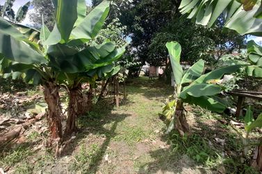 S&iacute;tio &agrave; venda - 10m&sup2; - Centro