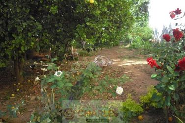 Casa &agrave; venda - 103m&sup2; - Centro