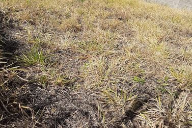 Terreno &agrave; venda - 10m&sup2; - Centro