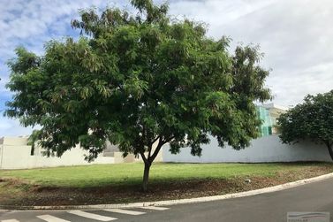 Terreno &agrave; venda - 10m&sup2; - Centro