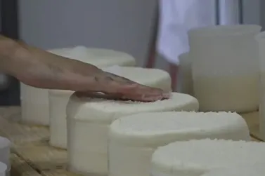 Epamig destaca apoio à produção dos queijos artesanais mineiros