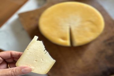 Festival do Queijo Canastra acontece neste fim de semana em S&atilde;o Roque de Minas