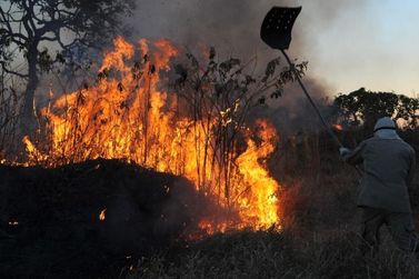 Levantamento: queimadas deixam quase 160 mil consumidores da Cemig sem energia