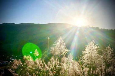 Pesquisa: ecoturismo e natureza est&atilde;o entre os preferidos dos turistas