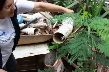 Governo de Minas mobiliza todo o estado para Dia D de combate ao Aedes aegypti
