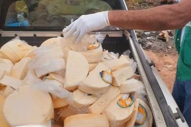 Mais de 500 quilos de queijo com selo falso e sem nota fiscal são apreendidos 