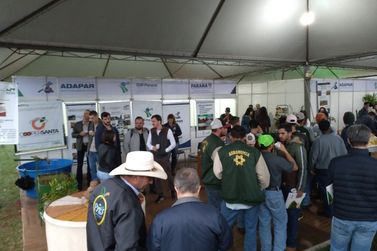 IDR-PR far&aacute; palestras gratuitas sobre agricultura e pecu&aacute;ria em Paranava&iacute;