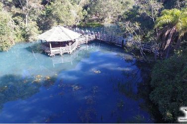 Na Estrada com o Portal: conhe&ccedil;a as belezas da Reserva de Caraguatatiba