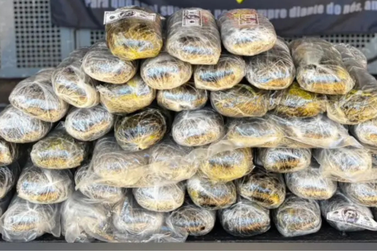 PRE apreende quase 25 kg de haxixe escondidos em tanque de combustível na PR-463