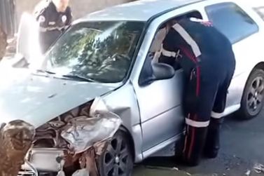 Motorista colide contra árvore ao desviar de cachorro em Colorado