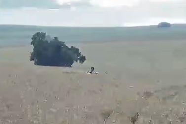 Avi&atilde;o de pequeno porte cai em zona rural de Marialva e mobiliza equipes de resgate 