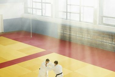 Judoca de Paranava&iacute; disputa Trof&eacute;u Brasil S&ecirc;nior 2026 em Cuiab&aacute;