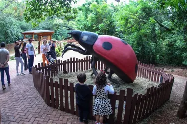 Parque do Ing&aacute; ganha insetos gigantes em exposi&ccedil;&atilde;o que come&ccedil;a nesta sexta-feira