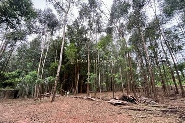 Ch&aacute;cara &agrave; venda - 10000m&sup2; - Jardim Videira