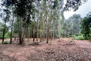 Ch&aacute;cara &agrave; venda - 10000m&sup2; - Jardim Videira