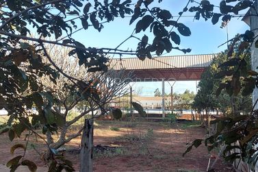 Ch&aacute;cara &agrave; venda - 5000m&sup2; - Ch&aacute;caras Jaragu&aacute;