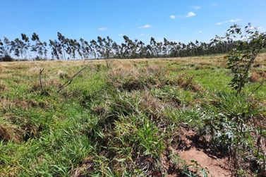 Ch&aacute;cara &agrave; venda - 24200m&sup2; - Sumar&eacute;
