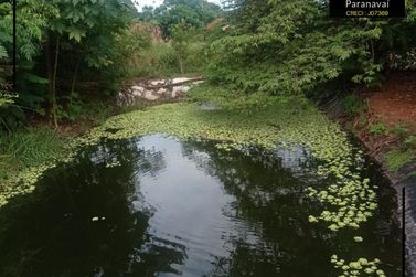 Ch&aacute;cara &agrave; venda - 5000m&sup2; - Vila Rural S&atilde;o Jo&atilde;o