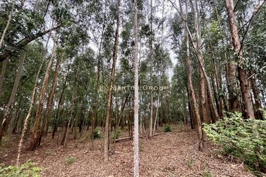 Ch&aacute;cara &agrave; venda - 10000m&sup2; - Jardim Videira