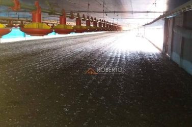 Ch&aacute;cara &agrave; venda - 48400m&sup2; - Graciosa