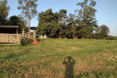 Ch&aacute;cara &agrave; venda - 181500m&sup2; - Jardim Sumar&eacute;