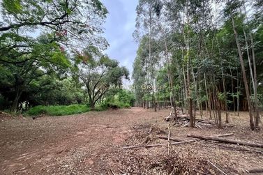 Ch&aacute;cara &agrave; venda - 10000m&sup2; - Jardim Videira