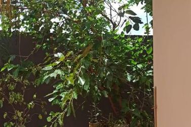 Casa &agrave; venda - 325m&sup2; - Centro