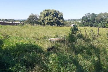 Terreno &agrave; venda - 7000m&sup2; - Jardim Campo Belo