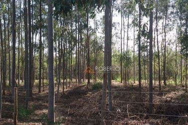 Ch&aacute;cara &agrave; venda - 48400m&sup2; - Graciosa