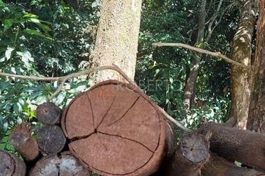 Ch&aacute;cara &agrave; venda - 5000m&sup2; - Jardim Morada do Sol