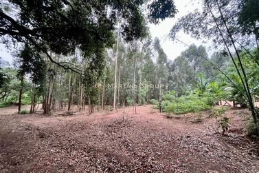Ch&aacute;cara &agrave; venda - 10000m&sup2; - Jardim Videira