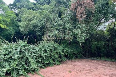 Ch&aacute;cara &agrave; venda - 10000m&sup2; - Jardim Videira