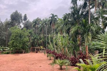 Ch&aacute;cara &agrave; venda - 10000m&sup2; - Jardim Videira
