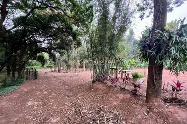 Ch&aacute;cara &agrave; venda - 10000m&sup2; - Jardim Videira