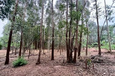 Ch&aacute;cara &agrave; venda - 10000m&sup2; - Jardim Videira