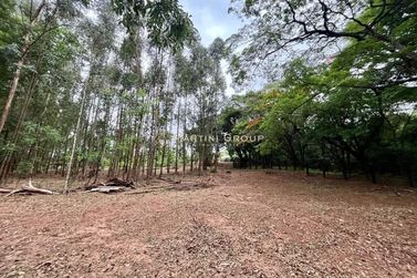 Ch&aacute;cara &agrave; venda - 10000m&sup2; - Jardim Videira